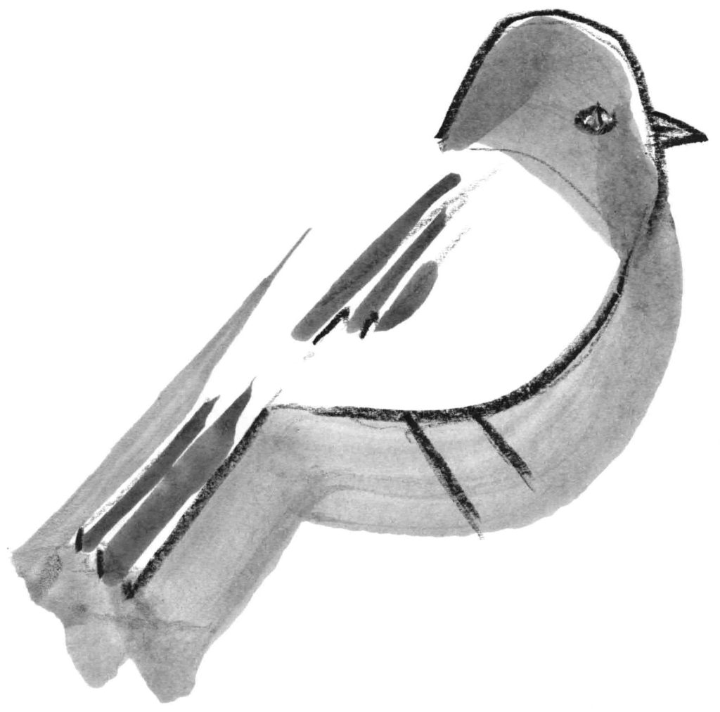 An image of Jerry Junco, the newsletter's mascot.